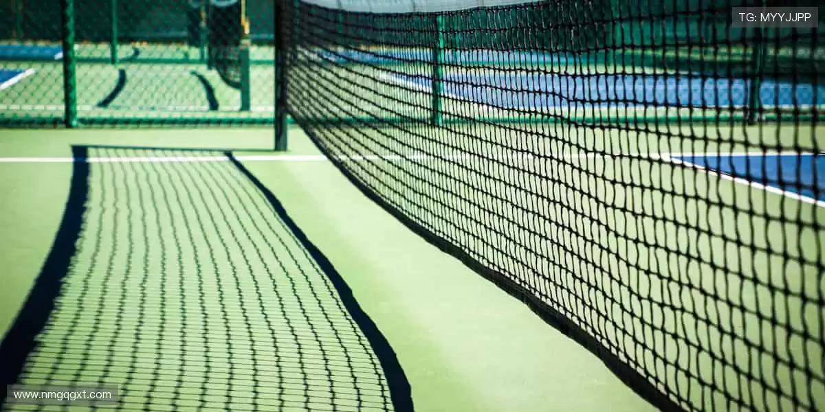 🎯精准数据，深度解析赛事背后的故事！